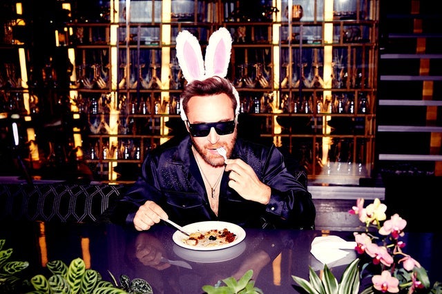 David Guetta on tour. Book now with FME Booking