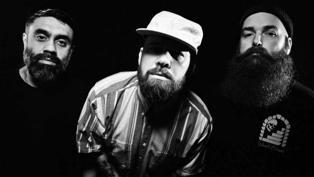 PENGSHUi on tour. Book now with FME Booking